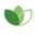 Sanchez lawncare llc logo