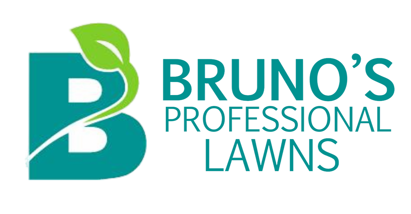 Bruno's Professional Lawn's & Landscape logo