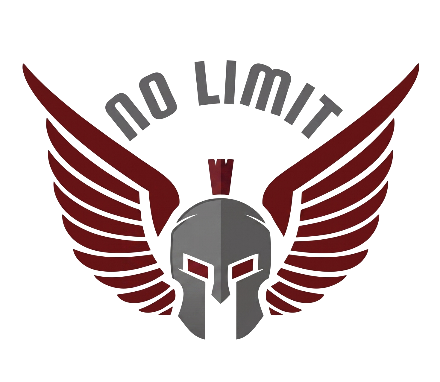 No Limit Welding & Services LLC logo